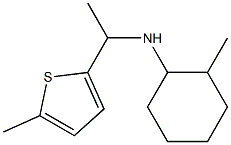 2-methyl-N-[1-(5-methylthiophen-2-yl)ethyl]cyclohexan-1-amine 结构式