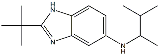 2-tert-butyl-N-(3-methylbutan-2-yl)-1H-1,3-benzodiazol-5-amine 结构式
