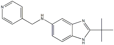 2-tert-butyl-N-(pyridin-4-ylmethyl)-1H-1,3-benzodiazol-5-amine 结构式