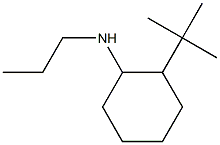 2-tert-butyl-N-propylcyclohexan-1-amine 结构式