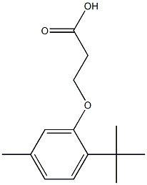 3-(2-tert-butyl-5-methylphenoxy)propanoic acid 结构式
