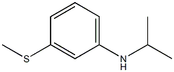 3-(methylsulfanyl)-N-(propan-2-yl)aniline 结构式