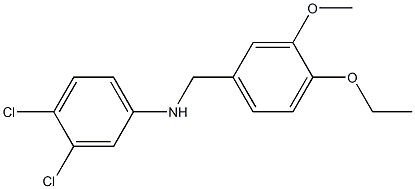 3,4-dichloro-N-[(4-ethoxy-3-methoxyphenyl)methyl]aniline 结构式