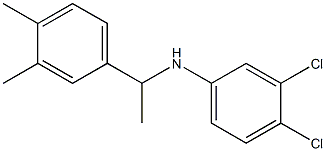 3,4-dichloro-N-[1-(3,4-dimethylphenyl)ethyl]aniline 结构式