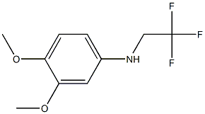 3,4-dimethoxy-N-(2,2,2-trifluoroethyl)aniline 结构式