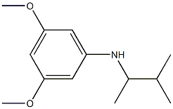 3,5-dimethoxy-N-(3-methylbutan-2-yl)aniline 结构式