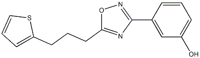 3-{5-[3-(thiophen-2-yl)propyl]-1,2,4-oxadiazol-3-yl}phenol 结构式