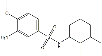 3-amino-N-(2,3-dimethylcyclohexyl)-4-methoxybenzene-1-sulfonamide 结构式