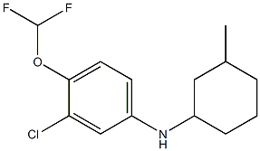 3-chloro-4-(difluoromethoxy)-N-(3-methylcyclohexyl)aniline 结构式