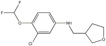 3-chloro-4-(difluoromethoxy)-N-(oxolan-3-ylmethyl)aniline 结构式