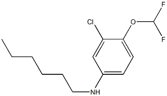 3-chloro-4-(difluoromethoxy)-N-hexylaniline 结构式