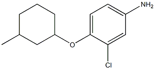 3-chloro-4-[(3-methylcyclohexyl)oxy]aniline 结构式