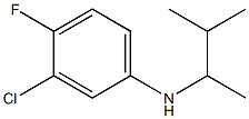 3-chloro-4-fluoro-N-(3-methylbutan-2-yl)aniline 结构式