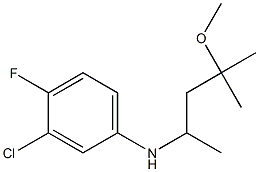 3-chloro-4-fluoro-N-(4-methoxy-4-methylpentan-2-yl)aniline 结构式