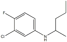 3-chloro-4-fluoro-N-(pentan-2-yl)aniline 结构式
