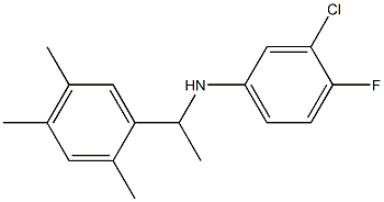 3-chloro-4-fluoro-N-[1-(2,4,5-trimethylphenyl)ethyl]aniline 结构式