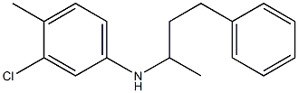 3-chloro-4-methyl-N-(4-phenylbutan-2-yl)aniline 结构式