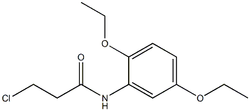 3-chloro-N-(2,5-diethoxyphenyl)propanamide 结构式
