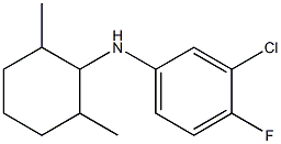 3-chloro-N-(2,6-dimethylcyclohexyl)-4-fluoroaniline 结构式