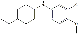 3-chloro-N-(4-ethylcyclohexyl)-4-methoxyaniline 结构式