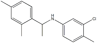 3-chloro-N-[1-(2,4-dimethylphenyl)ethyl]-4-methylaniline 结构式