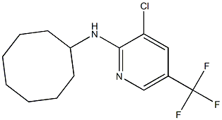 3-chloro-N-cyclooctyl-5-(trifluoromethyl)pyridin-2-amine 结构式