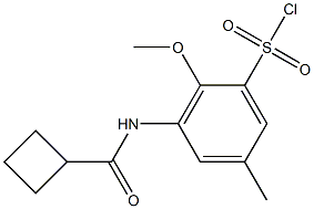 3-cyclobutaneamido-2-methoxy-5-methylbenzene-1-sulfonyl chloride 结构式
