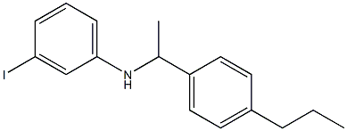 3-iodo-N-[1-(4-propylphenyl)ethyl]aniline 结构式