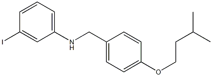 3-iodo-N-{[4-(3-methylbutoxy)phenyl]methyl}aniline 结构式