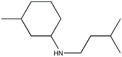 3-methyl-N-(3-methylbutyl)cyclohexan-1-amine 结构式