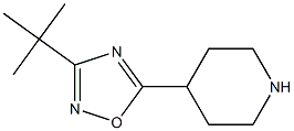 3-tert-butyl-5-(piperidin-4-yl)-1,2,4-oxadiazole 结构式