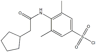 4-(2-cyclopentylacetamido)-3,5-dimethylbenzene-1-sulfonyl chloride 结构式
