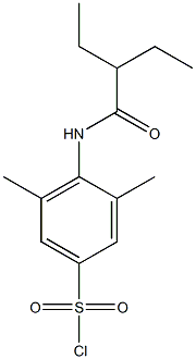 4-(2-ethylbutanamido)-3,5-dimethylbenzene-1-sulfonyl chloride 结构式