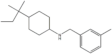 4-(2-methylbutan-2-yl)-N-[(3-methylphenyl)methyl]cyclohexan-1-amine 结构式