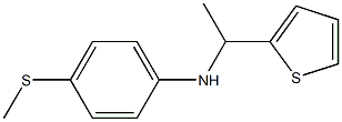 4-(methylsulfanyl)-N-[1-(thiophen-2-yl)ethyl]aniline 结构式