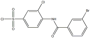 4-[(3-bromobenzene)amido]-3-chlorobenzene-1-sulfonyl chloride 结构式