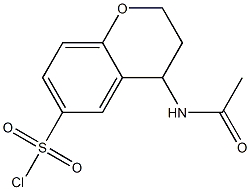 4-acetamido-3,4-dihydro-2H-1-benzopyran-6-sulfonyl chloride 结构式