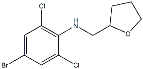 4-bromo-2,6-dichloro-N-(oxolan-2-ylmethyl)aniline 结构式