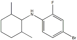 4-bromo-N-(2,6-dimethylcyclohexyl)-2-fluoroaniline 结构式