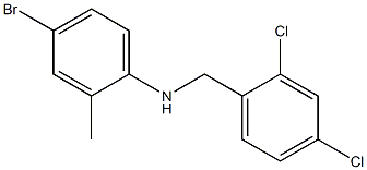 4-bromo-N-[(2,4-dichlorophenyl)methyl]-2-methylaniline 结构式