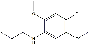 4-chloro-2,5-dimethoxy-N-(2-methylpropyl)aniline 结构式