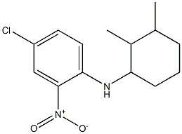 4-chloro-N-(2,3-dimethylcyclohexyl)-2-nitroaniline 结构式