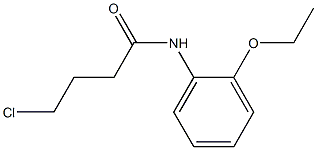 4-chloro-N-(2-ethoxyphenyl)butanamide 结构式