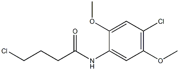 4-chloro-N-(4-chloro-2,5-dimethoxyphenyl)butanamide 结构式