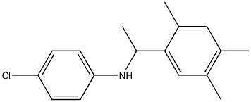 4-chloro-N-[1-(2,4,5-trimethylphenyl)ethyl]aniline 结构式