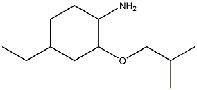 4-ethyl-2-(2-methylpropoxy)cyclohexan-1-amine 结构式