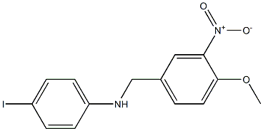 4-iodo-N-[(4-methoxy-3-nitrophenyl)methyl]aniline 结构式