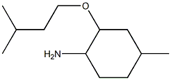 4-methyl-2-(3-methylbutoxy)cyclohexan-1-amine 结构式