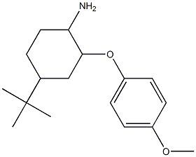 4-tert-butyl-2-(4-methoxyphenoxy)cyclohexan-1-amine 结构式