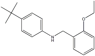 4-tert-butyl-N-[(2-ethoxyphenyl)methyl]aniline 结构式